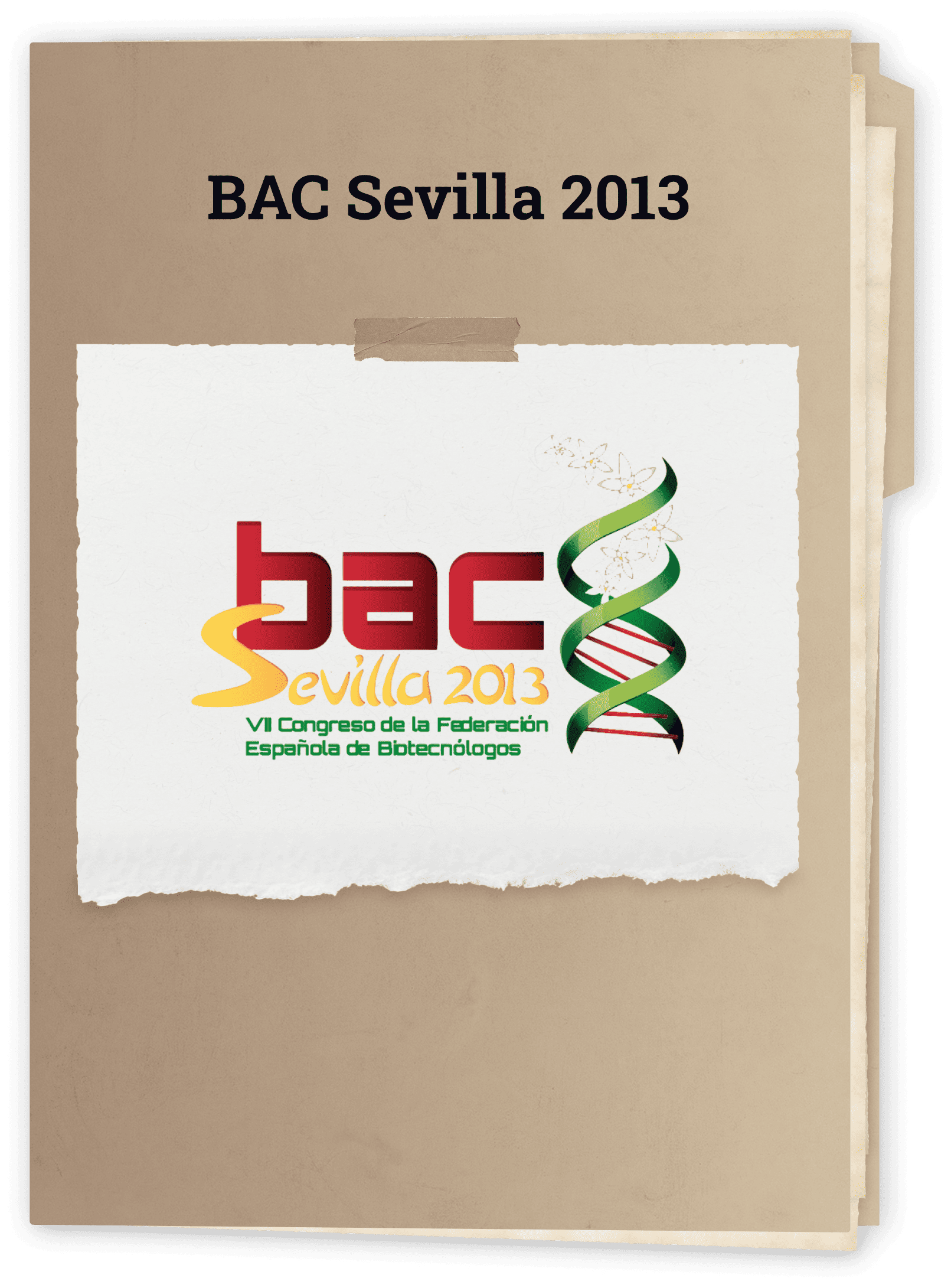 BAC Sevilla 2013