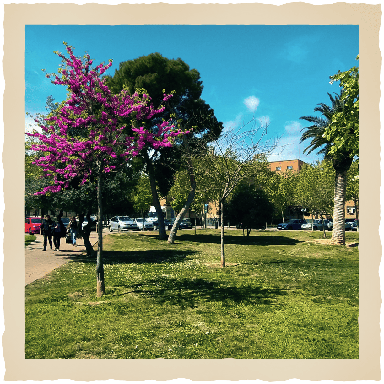 Foto jardín campus San Francisco