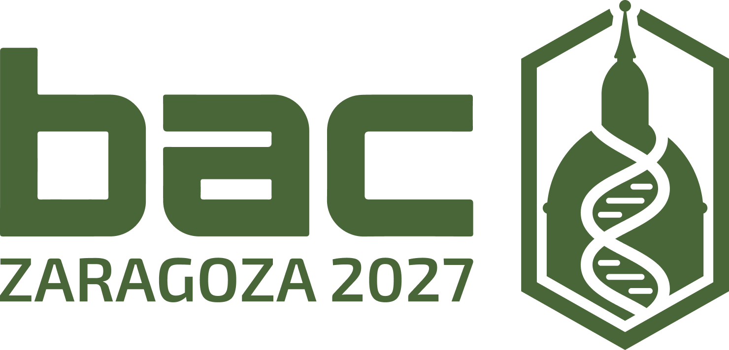 BAC Zaragoza 2027